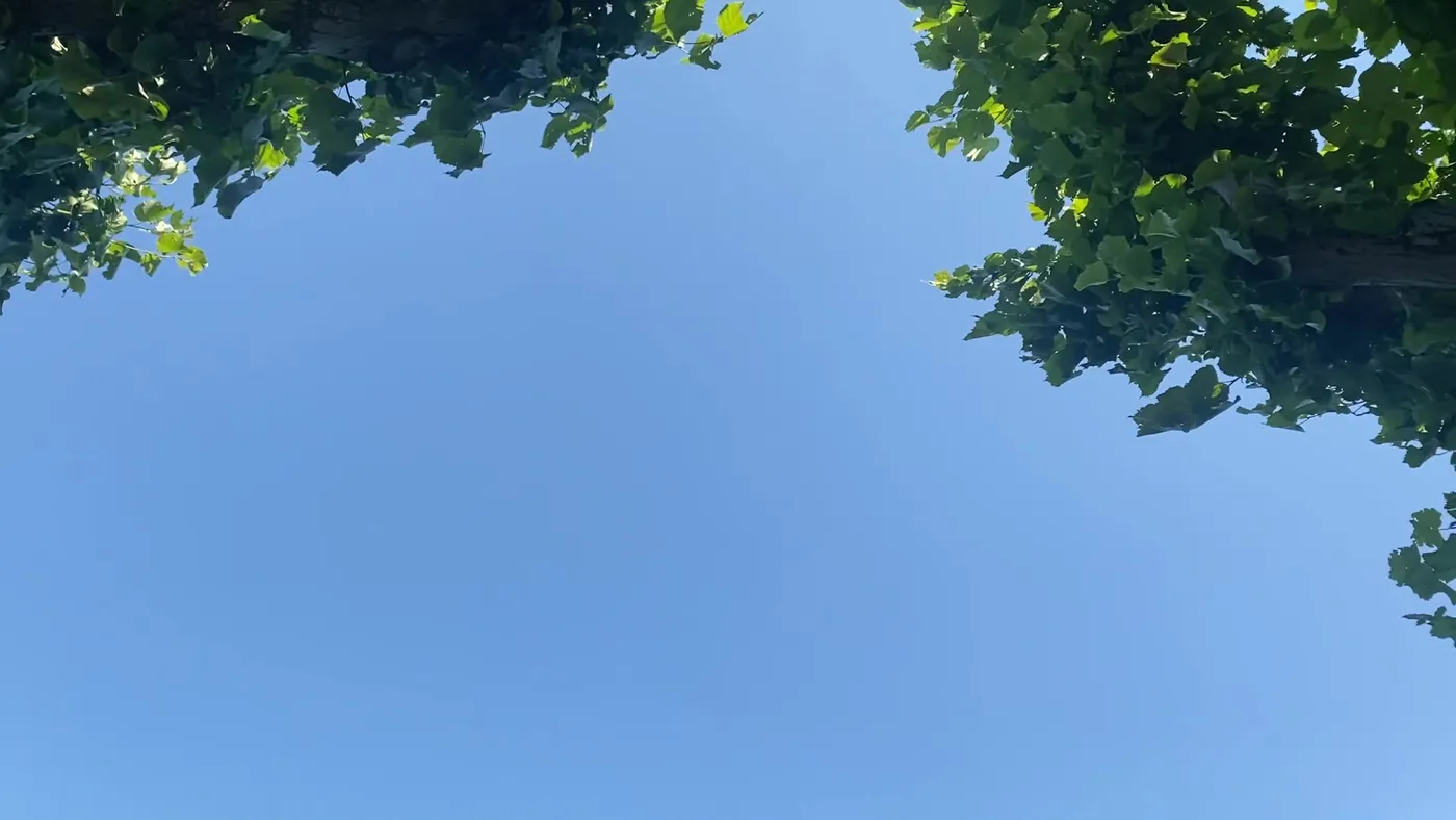 Le lac de Lugano vu d'un balcon à la balustrade en fer forgé
