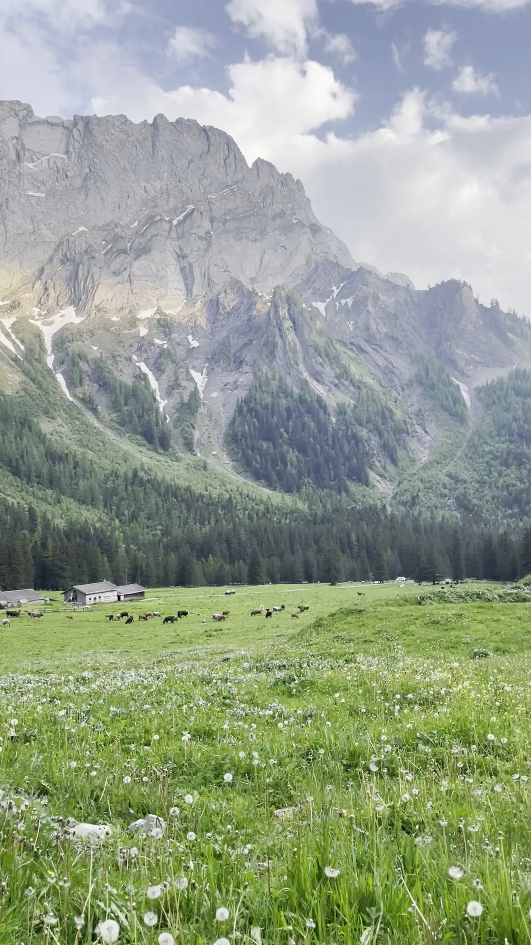 Due persone che camminano e parlano lungo un sentiero di montagna